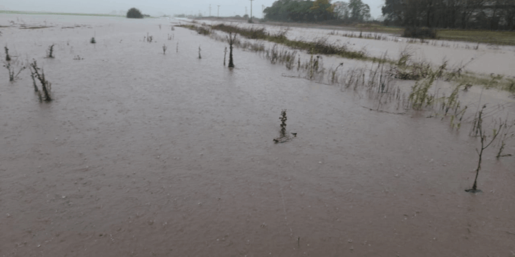 “NOS ALEGRAMOS DE QUE HAYAN INCORPORADO LAS OBRAS DEL SALADO, AL PRESUPUESTO PROVINCIAL” DIJO EUGENIA GIL 1 “NOS ALEGRAMOS DE QUE HAYAN INCORPORADO LAS OBRAS DEL SALADO, AL PRESUPUESTO PROVINCIAL” DIJO EUGENIA GIL