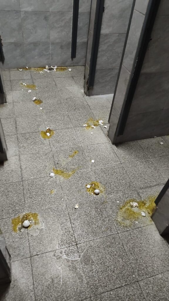 danos escuela 7 dos