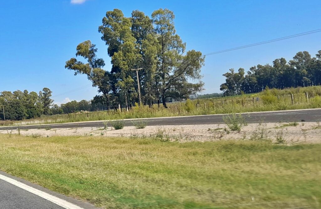 autovia 5 trabajos3