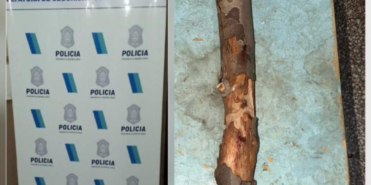 UN MENOR DE 17 AÑOS AGREDIÓ A UN HOMBRE CON UN PALO Y LO GOLPEO EN LA CARA