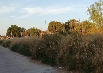 LIMPIEZA Y ORDENAMIENTO EN LA ZONA DE LA VÍAS DEL FERROCARRIL