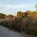 LIMPIEZA Y ORDENAMIENTO EN LA ZONA DE LA VÍAS DEL FERROCARRIL