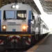 SALEN A LA VENTA LOS PASAJES DE TREN PARA ABRIL, INCLUIDAS LAS MASCOTAS