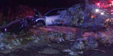 CHOCARON UN ÁRBOL CAÍDO EN LA RUTA 46. CUARTO PERSONAS DE BRAGADO RESULTARON HERIDAS