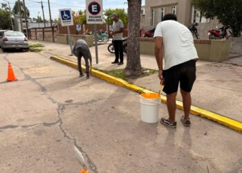 ¿VUELVEN LAS TAREAS COMUNITARIAS PARA PAGAR MULTAS?