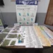 ALLANAMIENTO EN JUNIN: APREHENDEN A UNA JOVEN ORIUNDA DE COMODORO PY, POR VENTA DE DROGA