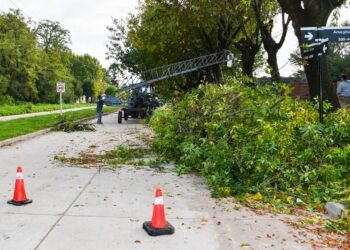 SE INICIÓ LA TEMPORADA DE PODA PROGRAMADA Y PODA CORRECTIVA 7 SE INICIÓ LA TEMPORADA DE PODA PROGRAMADA Y PODA CORRECTIVA