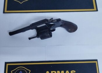 SECUESTRO DE UN ARMA DE FUEGO EN ALLANAMIENTOS POR CAUSA DE VIOLENCIA DE GENERO