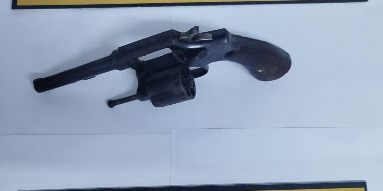 SECUESTRO DE UN ARMA DE FUEGO EN ALLANAMIENTOS POR CAUSA DE VIOLENCIA DE GENERO