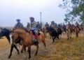 EL 25 DE MAYO Y LA “FIESTA NACIONAL DEL CABALLO”: SE REALIZO NUEVAMENTE LA TRADICIONAL CABALGATA