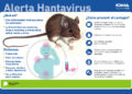 ALERTA: CONFIRMAN CASO DE HANTAVIRUS EN CHIVILCOY EN MEDIO DE BROTE PROVINCIAL