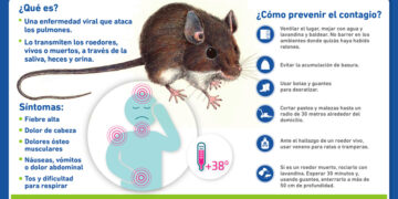 ALERTA: CONFIRMAN CASO DE HANTAVIRUS EN CHIVILCOY EN MEDIO DE BROTE PROVINCIAL