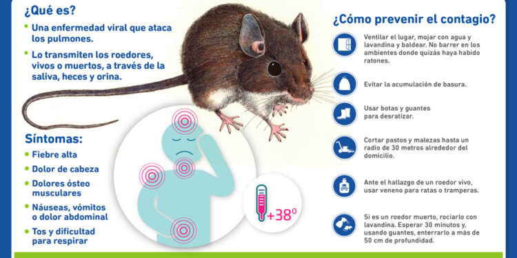 ALERTA: CONFIRMAN CASO DE HANTAVIRUS EN CHIVILCOY EN MEDIO DE BROTE PROVINCIAL