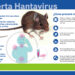ALERTA: CONFIRMAN CASO DE HANTAVIRUS EN CHIVILCOY EN MEDIO DE BROTE PROVINCIAL