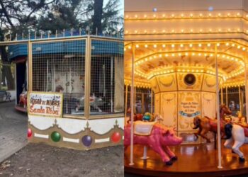 EL HOGAR DE NIÑAS DE SANTA ROSA LANZO UNA CAMPAÑA PARA PONER EN VALOR LA CALESITA DE LA PLAZA PERON