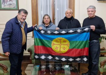 RECONOCIMIENTO A LA IDENTIDAD DEL PUEBLO MAPUCHE EN LA LOCALIDAD DE OLASCOAGA 8 RECONOCIMIENTO A LA IDENTIDAD DEL PUEBLO MAPUCHE EN LA LOCALIDAD DE OLASCOAGA