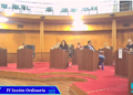 SESION DEL CONCEJO DELIBERANTE: VOLVIO AL DEBATE LA SITUACIÓN DERIVADA DE LA SUPERPOBLACION DE ANIMALES Y LAS CRITICAS A  ZOONOSIS MUNICIPAL