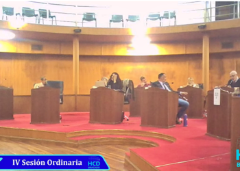 SESION DEL CONCEJO DELIBERANTE: VOLVIO AL DEBATE LA SITUACIÓN DERIVADA DE LA SUPERPOBLACION DE ANIMALES Y LAS CRITICAS A  ZOONOSIS MUNICIPAL