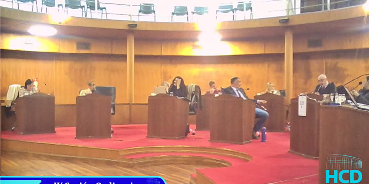 SESION DEL CONCEJO DELIBERANTE: VOLVIO AL DEBATE LA SITUACIÓN DERIVADA DE LA SUPERPOBLACION DE ANIMALES Y LAS CRITICAS A  ZOONOSIS MUNICIPAL