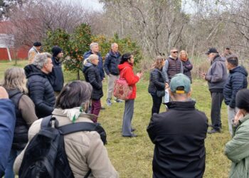 UNA JORNADA DE PODA EN LA LIMPIA QUE GENERO UNA NUTRIDA CONCURRENCIA