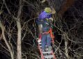 BOMBEROS DE BRAGADO RESCATÓ A UNA PERSONA QUE QUEDÓ ENGANCHADO CON SU PARAPENTE EN LA COPA DE UN ARBOL DE GRAN ALTURA