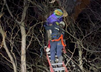 BOMBEROS DE BRAGADO RESCATÓ A UNA PERSONA QUE QUEDÓ ENGANCHADO CON SU PARAPENTE EN LA COPA DE UN ARBOL DE GRAN ALTURA