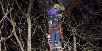 BOMBEROS DE BRAGADO RESCATÓ A UNA PERSONA QUE QUEDÓ ENGANCHADA CON SU PARAPENTE EN LA COPA DE UN ARBOL DE GRAN ALTURA