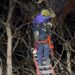 BOMBEROS DE BRAGADO RESCATÓ A UNA PERSONA QUE QUEDÓ ENGANCHADA CON SU PARAPENTE EN LA COPA DE UN ARBOL DE GRAN ALTURA