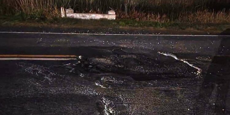 ALERTA VIAL EN RUTA NACIONAL 5 ENTRE NUEVE DE JULIO Y CARLOS CASARES 1 ALERTA VIAL EN RUTA NACIONAL 5 ENTRE NUEVE DE JULIO Y CARLOS CASARES