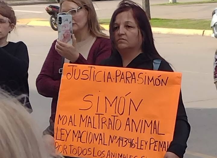 marcha por simon1
