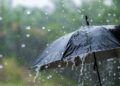 DESCRIPCIÓN METEOROLÓGICA POR EVENTO DE LLUVIAS Y TORMENTAS LOCALMENTE FUERTES – VIERNES 31/7 –