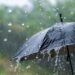 DESCRIPCIÓN METEOROLÓGICA POR EVENTO DE LLUVIAS Y TORMENTAS LOCALMENTE FUERTES - VIERNES 31/7 - 12 DESCRIPCIÓN METEOROLÓGICA POR EVENTO DE LLUVIAS Y TORMENTAS LOCALMENTE FUERTES – VIERNES 31/7 –