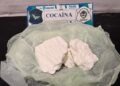 BRAGADO: DOS ALLANAMIENTOS CON SECUESTRO DE COCAÍNA