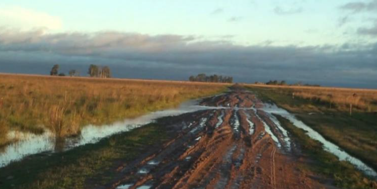 LA LIBERTAD AVANZA PROPONE UNA REFORMA INSTITUCIONAL DE GESTIÓN PARA LA RED VIAL RURAL DE BRAGADO 1 LA LIBERTAD AVANZA PROPONE UNA REFORMA INSTITUCIONAL DE GESTIÓN PARA LA RED VIAL RURAL DE BRAGADO