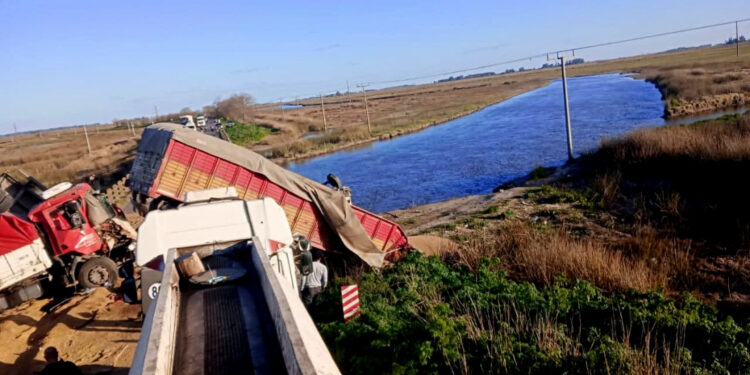 GRAVE ACCIDENTE EN LA RUTA PROVINCIAL 51: UN CHOFER FALLECIDO Y TRES HERIDOS TRAS UN CHOQUE ENTRE CUATRO CAMIONES 1 GRAVE ACCIDENTE EN LA RUTA PROVINCIAL 51: UN CHOFER FALLECIDO Y TRES HERIDOS TRAS UN CHOQUE ENTRE CUATRO CAMIONES