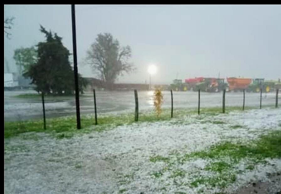 pedrada en la limpia2