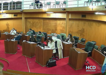 SESIONÓ EL CONCEJO: SE ANALIZÓ UNA PROPUESTA DE CEDER TERRENOS A CINCO GREMIOS DE BRAGADO