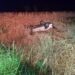EN FATAL ACCIDENTE EN RUTA 65 FALLECIÓ UN CONOCIDO DUEÑO DE AGENCIAS DE AUTOS DE 9 DE JULIO 11 EN FATAL ACCIDENTE EN RUTA 65 FALLECIÓ UN CONOCIDO DUEÑO DE AGENCIAS DE AUTOS DE 9 DE JULIO