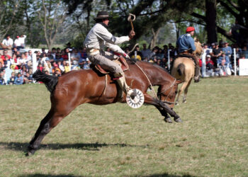 ÚLTIMO MOMENTO: SUSPENDEN LA JINETEADA DE LA FIESTA NACIONAL DEL CABALLO