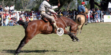 ÚLTIMO MOMENTO: SUSPENDEN LA JINETEADA DE LA FIESTA NACIONAL DEL CABALLO