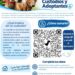 SE CREO EL REGISTRO DE CUSTODIOS Y ADOPTANTES PARA ANIMALES RESCATADOS POR LEY 14.346