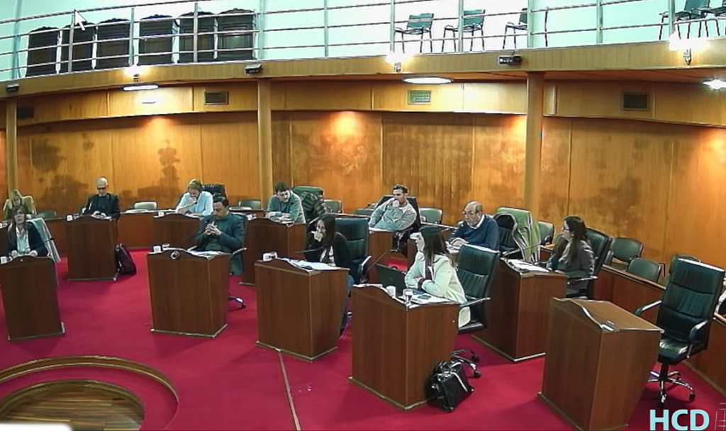 TRAS UN LARGO DEBATE, LA PROPUESTA DE CREAR UNA GUARDIA ACTIVA PARA SALUD MENTAL, NO LOGRÓ LA MAYORÍA 5 sesion captura
