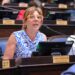 SE CONVIRTIÓ EN LEY EL PROYECTO DE SILVINA VACCAREZZA QUE ACTUALIZA LAS PRIORIDADES DE PASO EN LA PROVINCIA