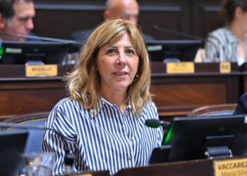 VACCAREZZA PROPUSO INCORPORAR LA EDUCACIÓN FINANCIERA Y TRIBUTARIA A LA LEY DE EDUCACIÓN BONAERENSE
